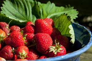 Everyone's favourite-sweet strawberries